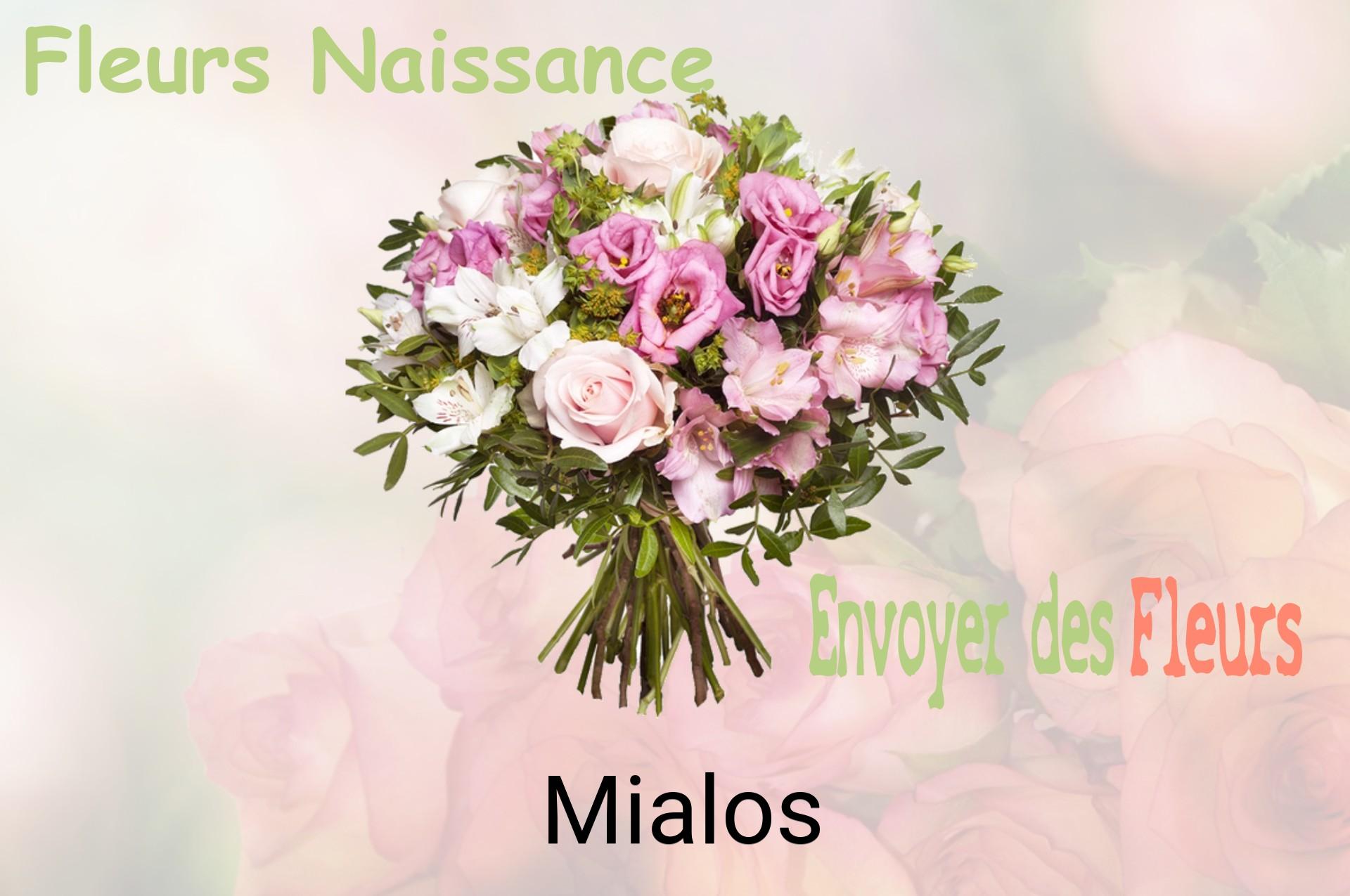 Bouquet de fleurs de naissance livré à Mialos