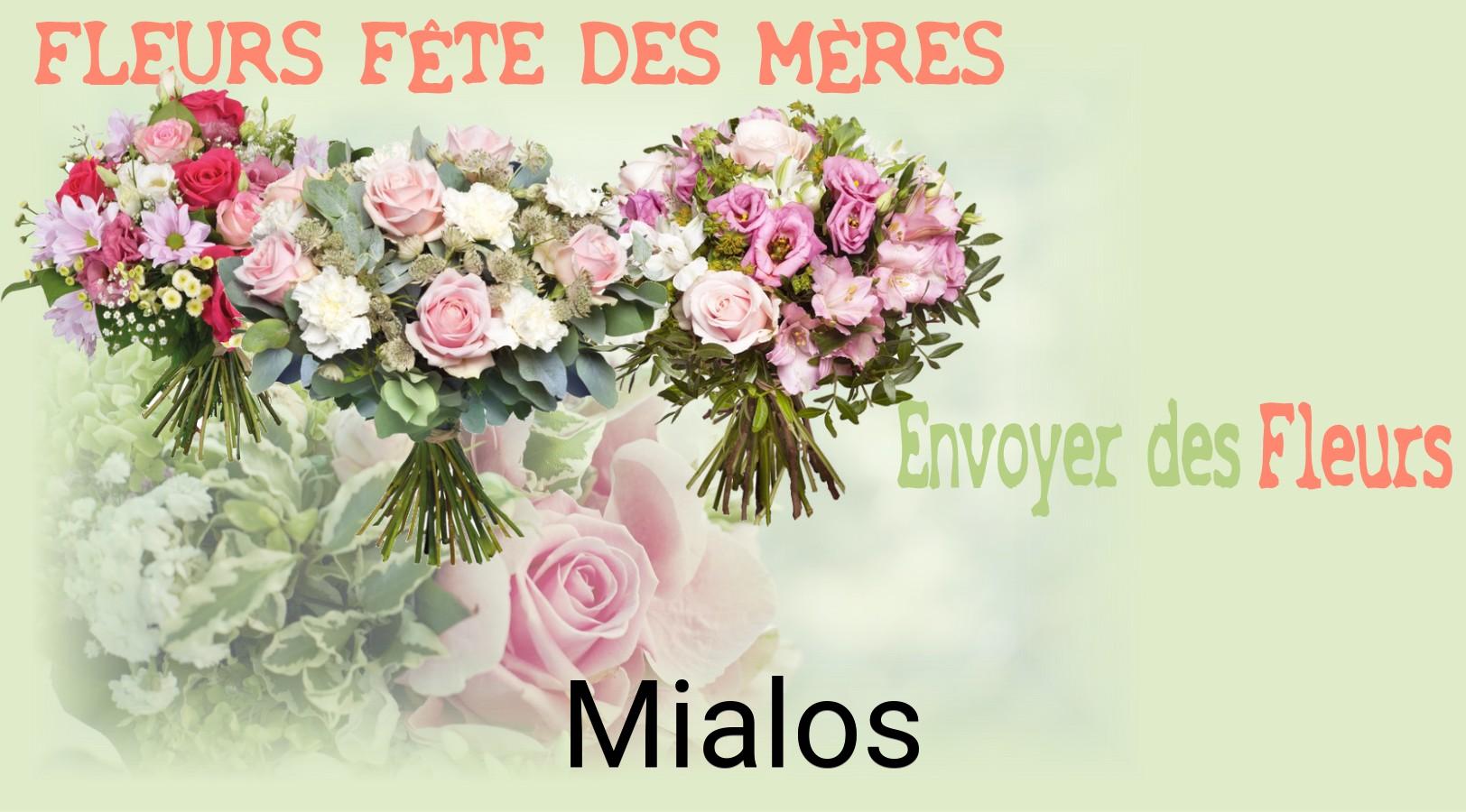 Bouquet de Fête des Mères livré à Mialos